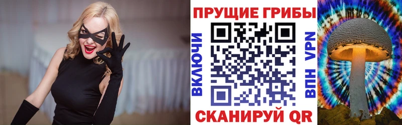 Галлюциногенные грибы мицелий ссылка на мегу вход Цоци-Юрт
